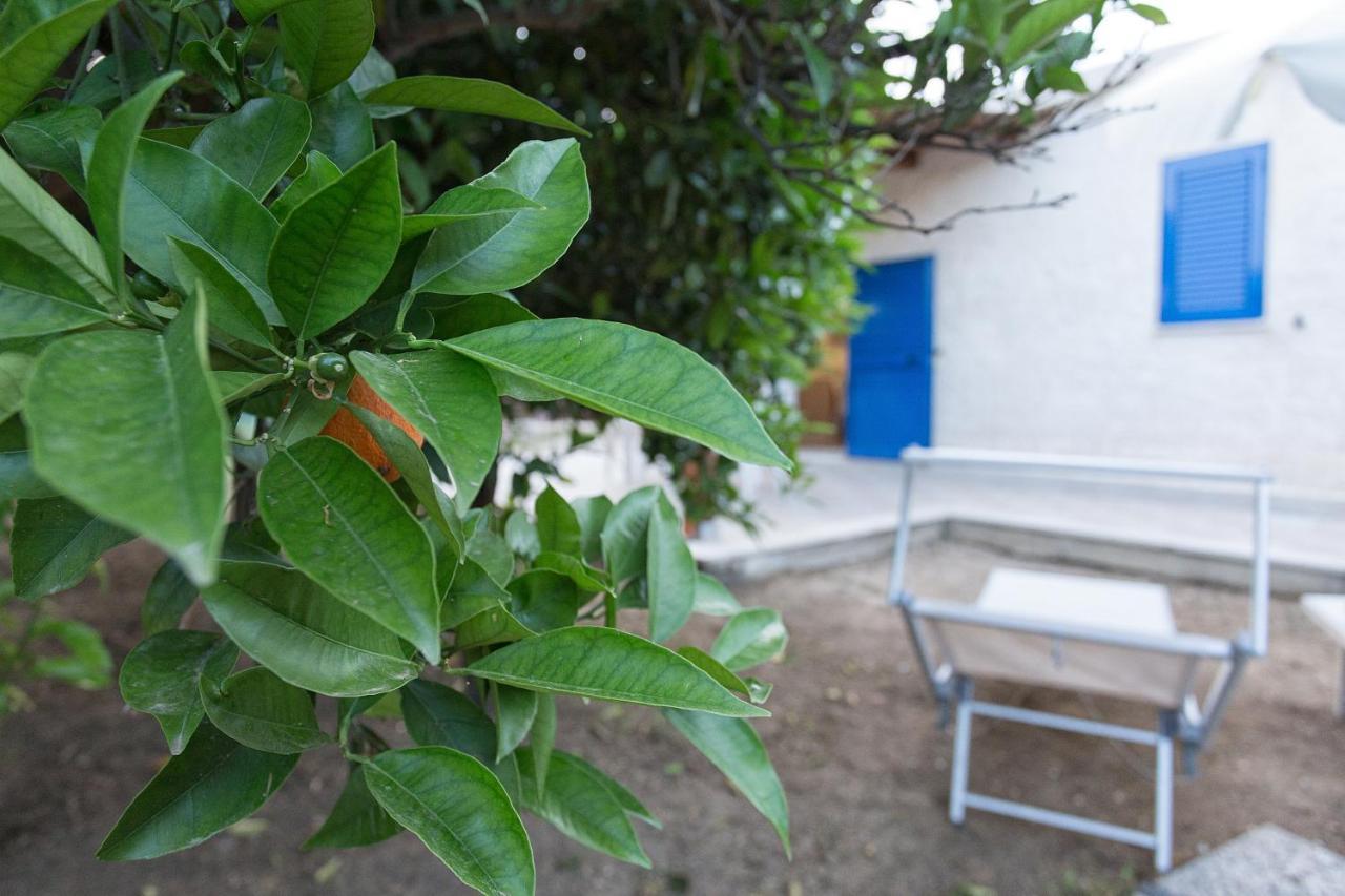 Seta Agrigento