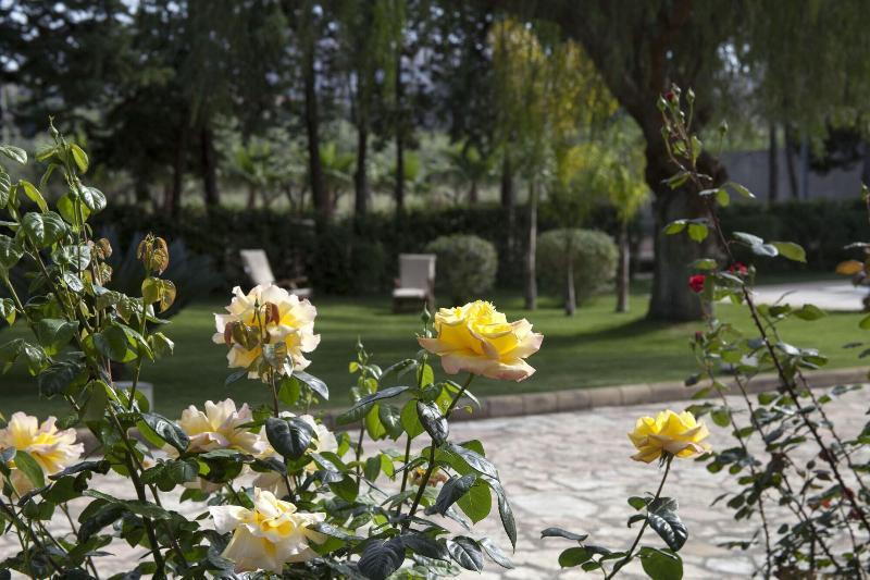 Bed & Breakfast Seta 3*